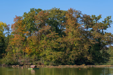 Herbstlich gefärbter Laubbaum im Kurpark von Bad Nauheim