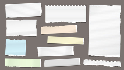 Set of torn white and colorful note, notebook lined and blank paper pieces stuck on dark background. Vector illustration