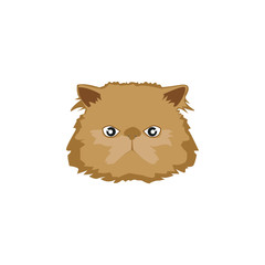 cute cat face , head pet friendly