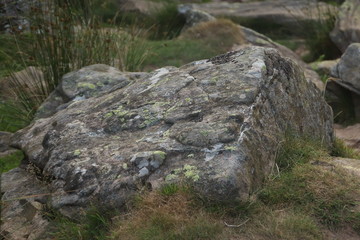 Bosque y rocas del monte Adarra
