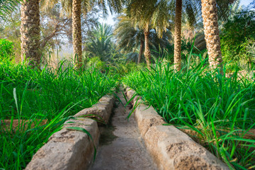 Open drainage irrigation system inside farm ,water flowing through the tunnel and keeping the farm green.
