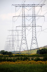 Row of power pylons in rural Noord-Brabant, one of the southern provinces of the Netherlands
