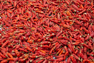 Fototapeta premium pile of dry chilli