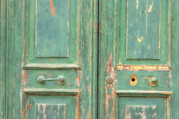 Old green wooden door. Vintage dry door