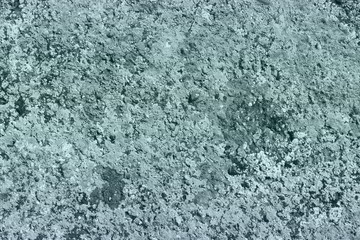 Fototapeta na wymiar creative messy lichen on stone texture - fantastic abstract photo background