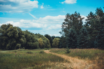 path in a grass field