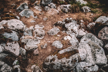 Rocks on ground wallpaper