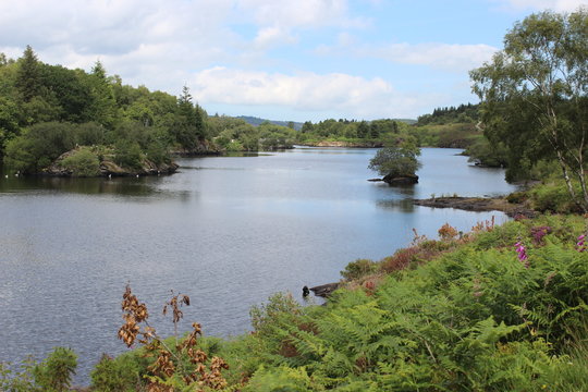 Llyn Elsi Bettws-y-Coed