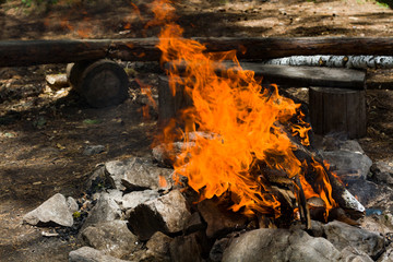 The fire in the fire on the background of nature.