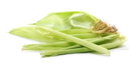 Ears of corn leaves, tassel isolated on white background