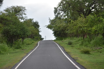 Road at Muthumala, Tamilnadu
