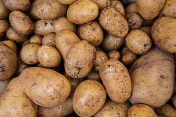 Fresh potatoes background