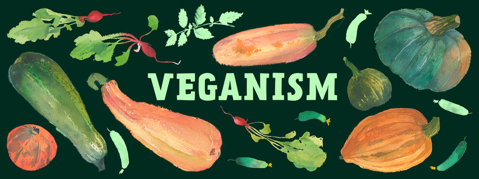 Banner Healthy food with beautiful watercolor illustrations of vegetables for vegan restaurant and Veganism blog. Panoramic ad Vegan day banner design with autumn harvest of squash, pumpkin, spices.