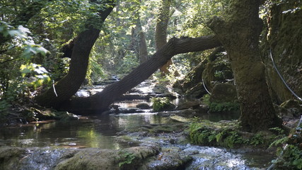Fototapeta premium Waterfalls, ponds and forest of Turgut
