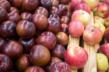 plum many red closeup whole