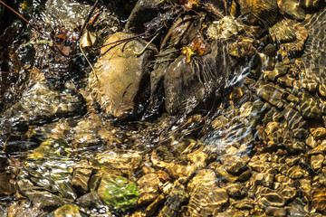 Klares Wasser in steinigem Bachbett
