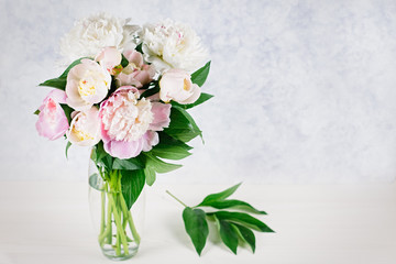 Bouquet of peonies in a vase closeup on pastel background, copyspace