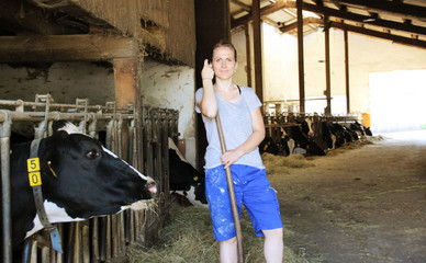 Female Farmer Feeding and Cows in a Stable and proud of her occupation