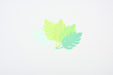top view of green paper cut tropical leaves isolated on white with copy space