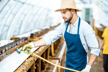 Handsome worker washing shelves with water gun, taking care of the snails in the hothouse of the farm. Concept of farming snails for eating