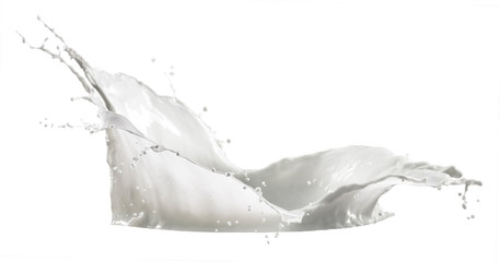 milk splash isolated on white background