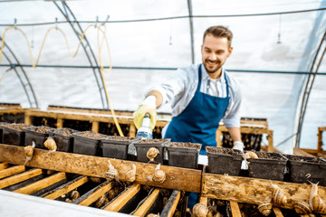 Handsome worker washing shelves with water gun, taking care of the snails in the hothouse of the farm. Concept of farming snails for eating