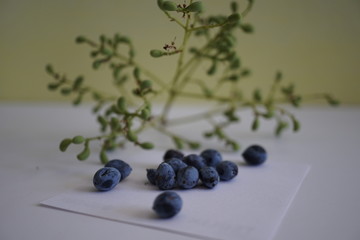 blueberries in a bowl