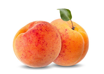 Two ripe apricots isolated on white background