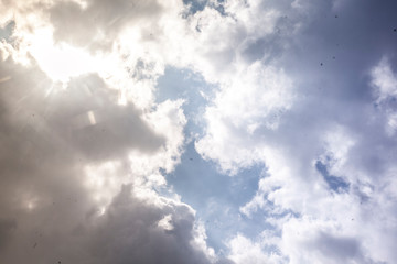Vue du ciel via le Cockpit d'un petit avion