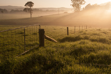 Farm gate on a foggy morning - obrazy, fototapety, plakaty