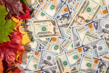 Autumn prices fall concept. Background from dollars and colored maple leaves