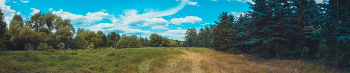 Obraz na płótnie Canvas 180 degree panorama of grass field in a forest