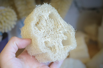 Loof's bast in hand close up. Alternative to plastic, zero waste, eco friendly