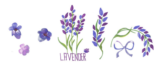 Naklejka na ściany i meble Set of hand drawn sketch of Lavender flower and cute bows isolated on white background. Vintage illustration. France provence retro pattern for romantic fresh design concept. Natural lavander