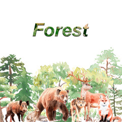 watercolor forest set: trees, bushes, boar, hare, bear, fox, wolf, deer, oak, stump, spruce