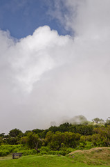 Nebelschwaden ziehen über eine Hochebene von Madeira und erzeugen eine geheimnisvolle Stimmung