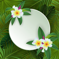 Plumeria tropical background