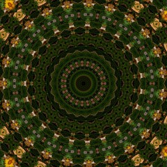 Obraz premium kaleidoscope background design in the shape of flowers