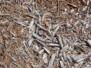 texture of sawdust wood and leaves