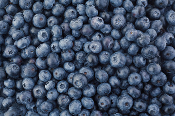 Closeup of a Pile of Fresh Blueberries in an Open Air Market