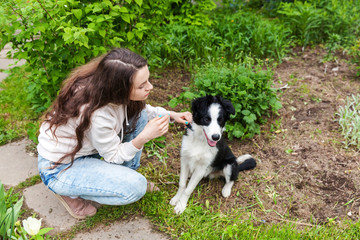 Smiling young attractive woman embracing cute puppy dog border collie in summer city park outdoor background. Girl huging new lovely member of family. Pet care and animals concept