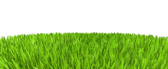 Green grass. background texture. fresh spring green grass. 3d rendering