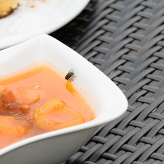 One fly shortly before starting to suck apricot compote with her proboscis. There is a reflection of the fly in the apricot puree. In the background there are parts of an apricot cake on a white plate