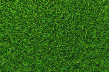 Green grass. background texture. fresh spring green grass. 3d rendering