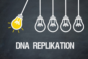 DNA Replilkation
