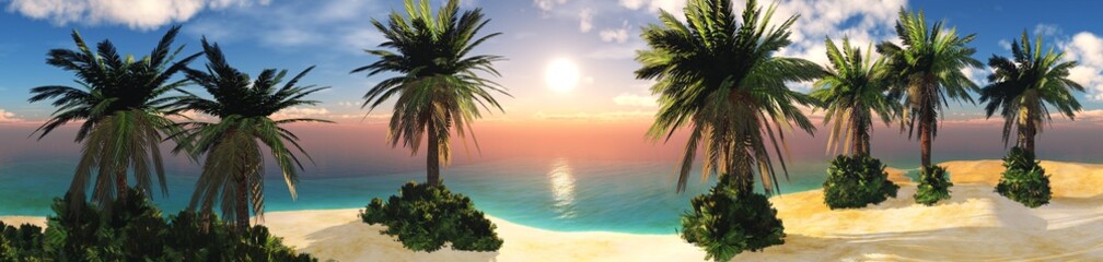 Panorama of the beach with palm trees at sunset, seashore at sunrise