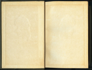 Old brown paper in book. Open book top view. For qoutes, with space for text. High resolution jpg..