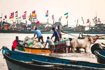 Indian Fishermen doing their daily chores at Dapoli, Maharashtra. 