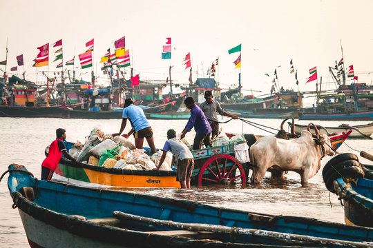 Indian Fishermen doing their daily chores at Dapoli, Maharashtra. 