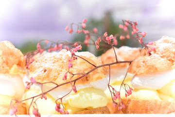  Sweet and delicious cream puffs.